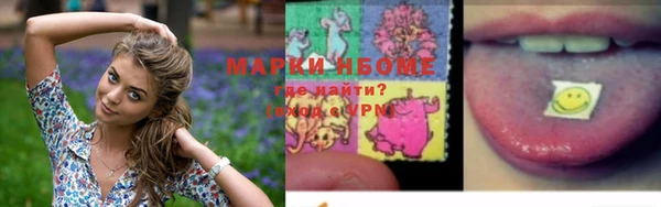 бошки Бронницы